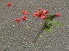 P1400615.JPG
