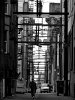 P1030902_m2.jpg