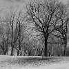 P3250031_m2.jpg