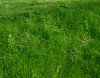 IMG_1277_m.JPG