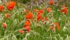 P1110120_rcd.JPG