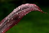 P1290371_m2.jpg